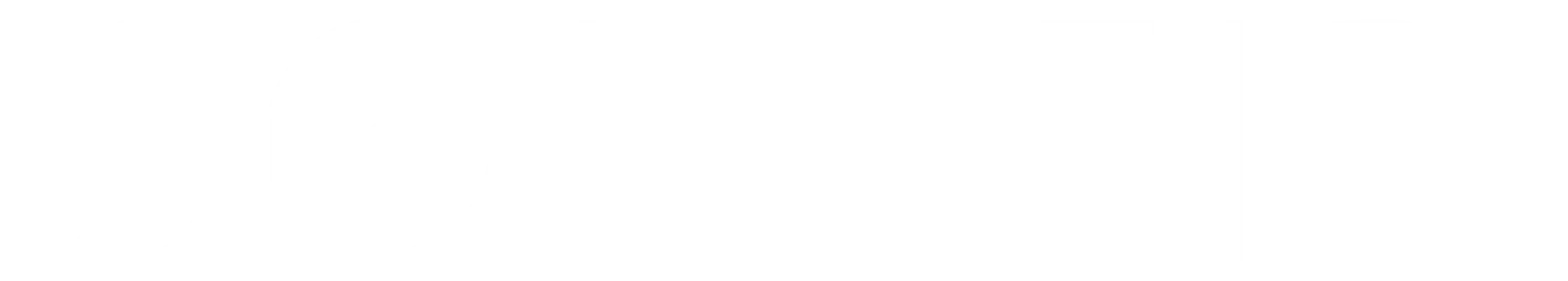 souleir led therapy australia logo