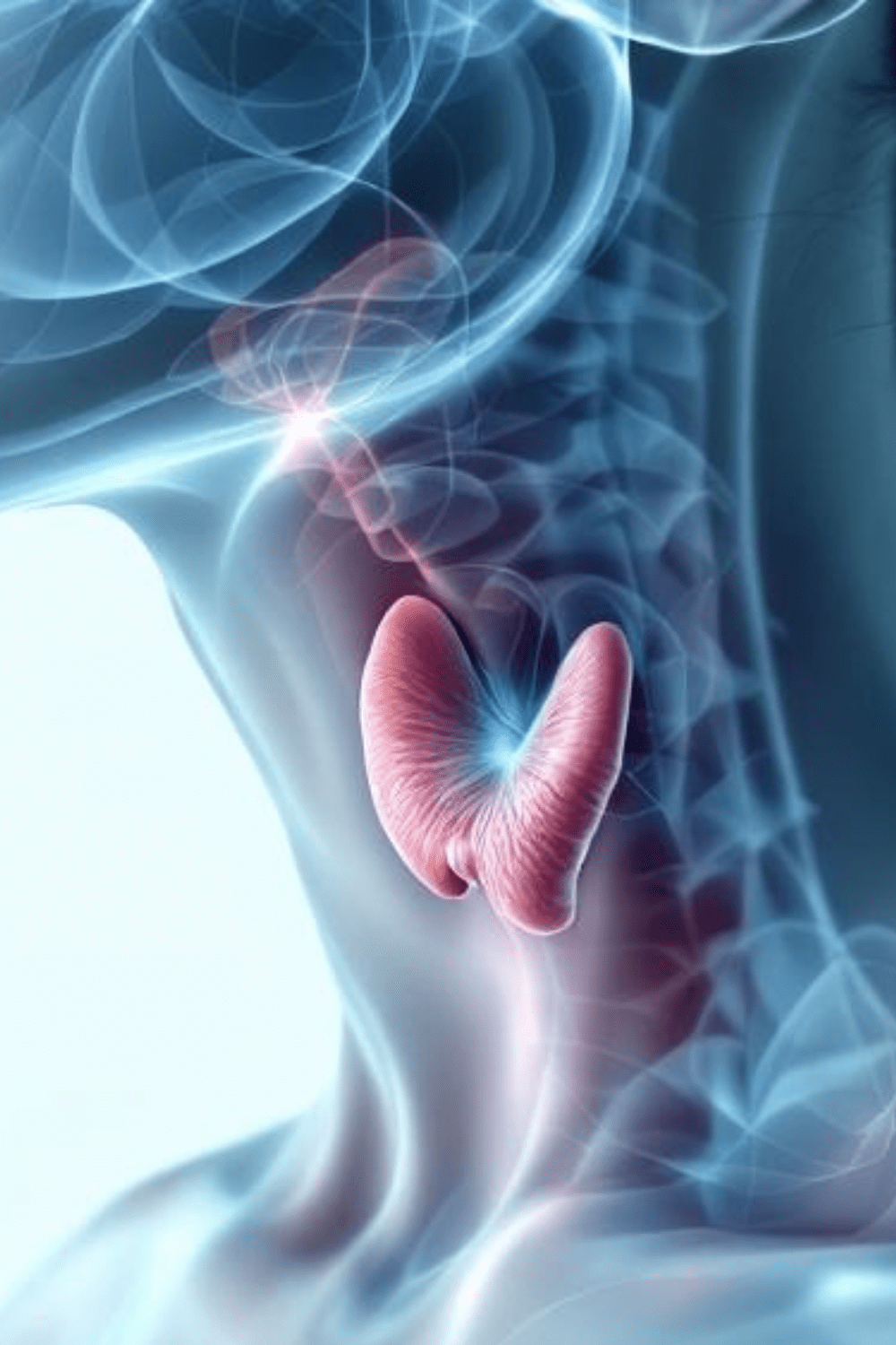 thyroid gland weight gain