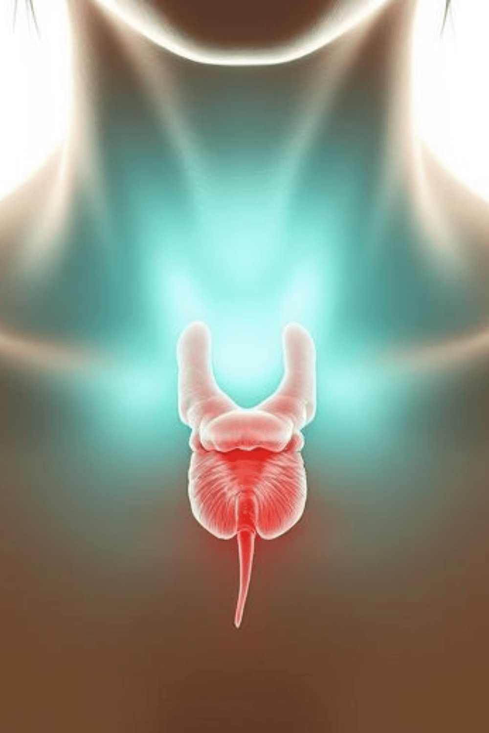 thyroid hormone levels